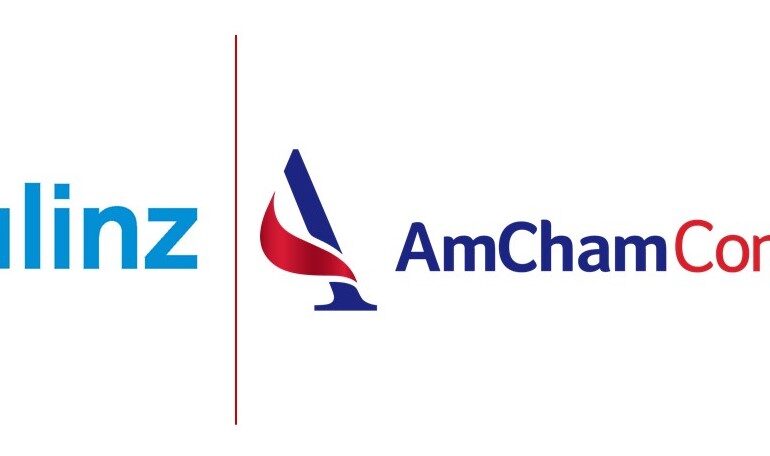 LINZ & AmCham / Connect