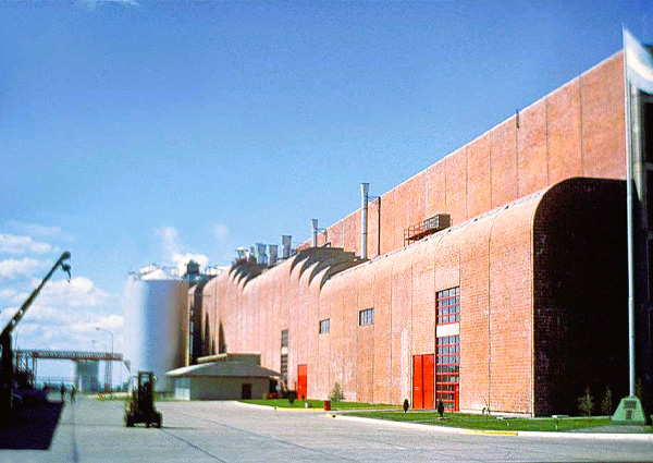 Papel Prensa – Planta San Pedro / Tala lista